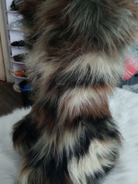 Dolls Kill Shoes - Dolls Kill Faux Fur Over-the-Knee Boots in Multicolor Brown, Black & Cream